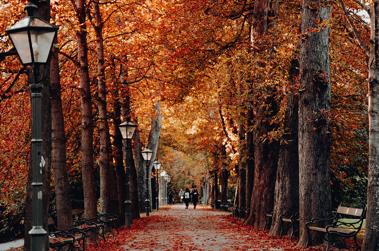 Fall in Love with Morristown, NJ