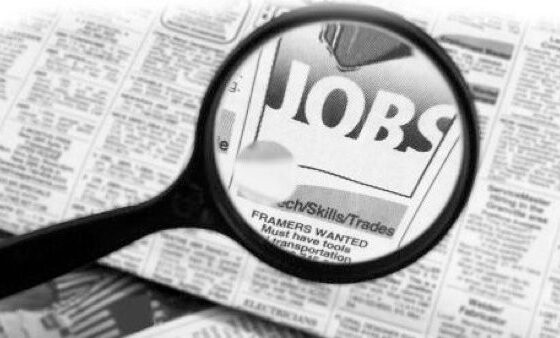 Preliminary Estimates Show a Steady Labor Market in October