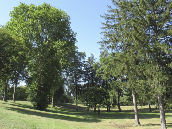 Nearly $7 Million in Open Space Preservation Grants Approved