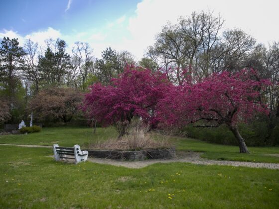 Morris County, Denville Announce Preservation of 57 Acres