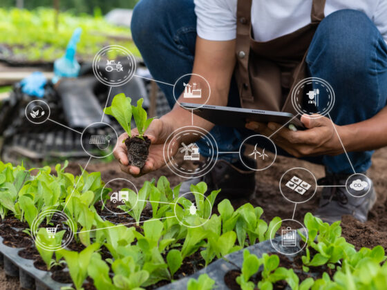 USDA Opens Applications for Agriculture Innovation Center Grants